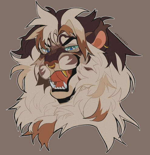 Bust $35+ ($10 shade)